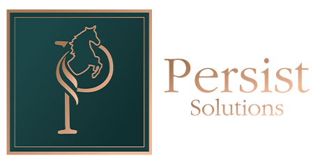 Persist Solutions